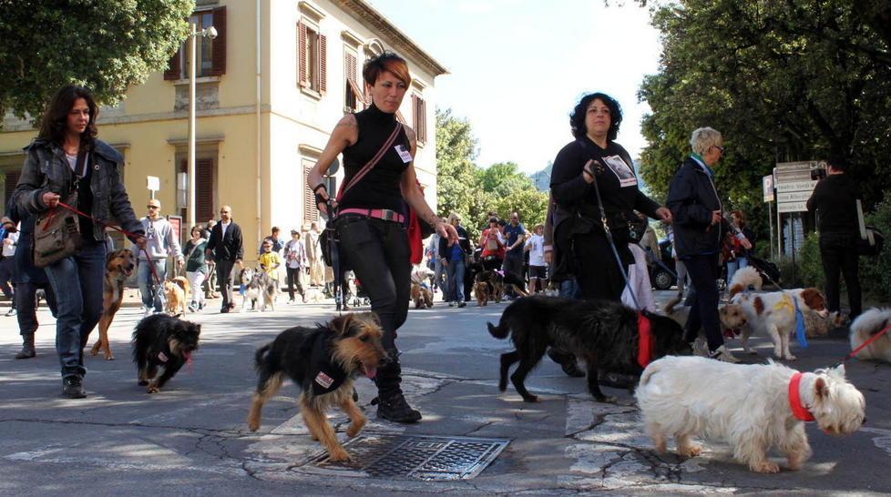 La carica dei cinquecento guidati dal Commissario Rex 