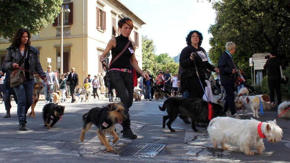 La carica dei cinquecento guidati dal Commissario Rex