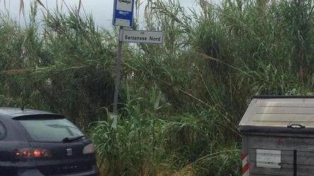 Allarme per la fermata del bus pericolosa sulla Sarzanese