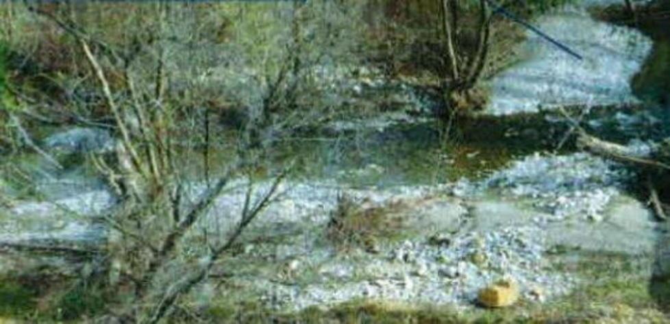 Il fiume Vivo si rifà il look con i lavori del Consorzio 