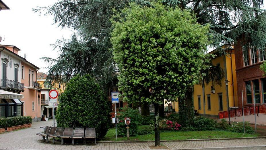 Barga si divide sul “Progetto Giardino”