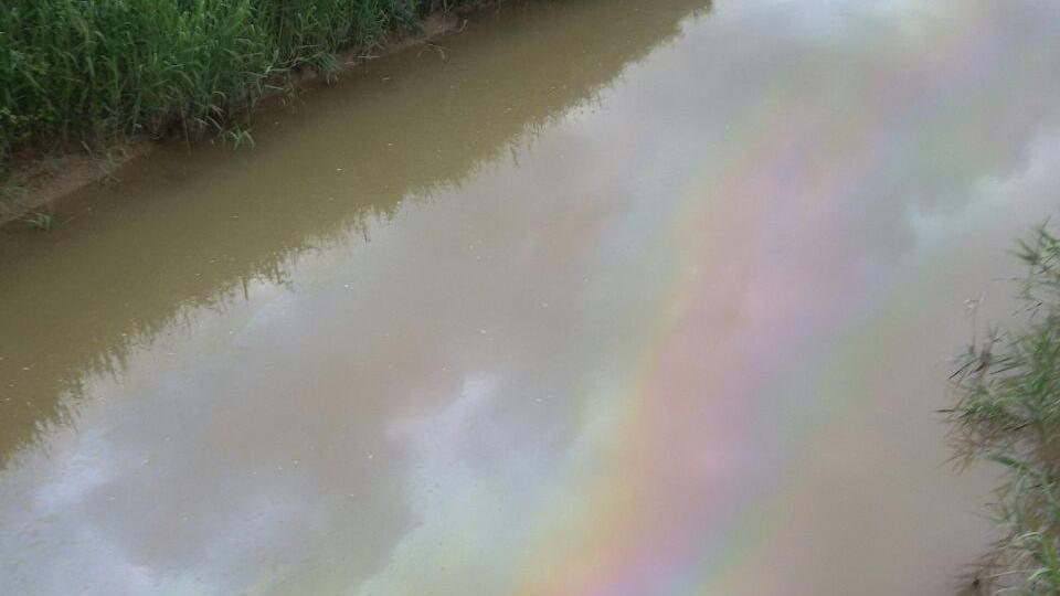 Lo sversamento di olio nel canale di Terre Rosse (foto Paolo Barlettani)