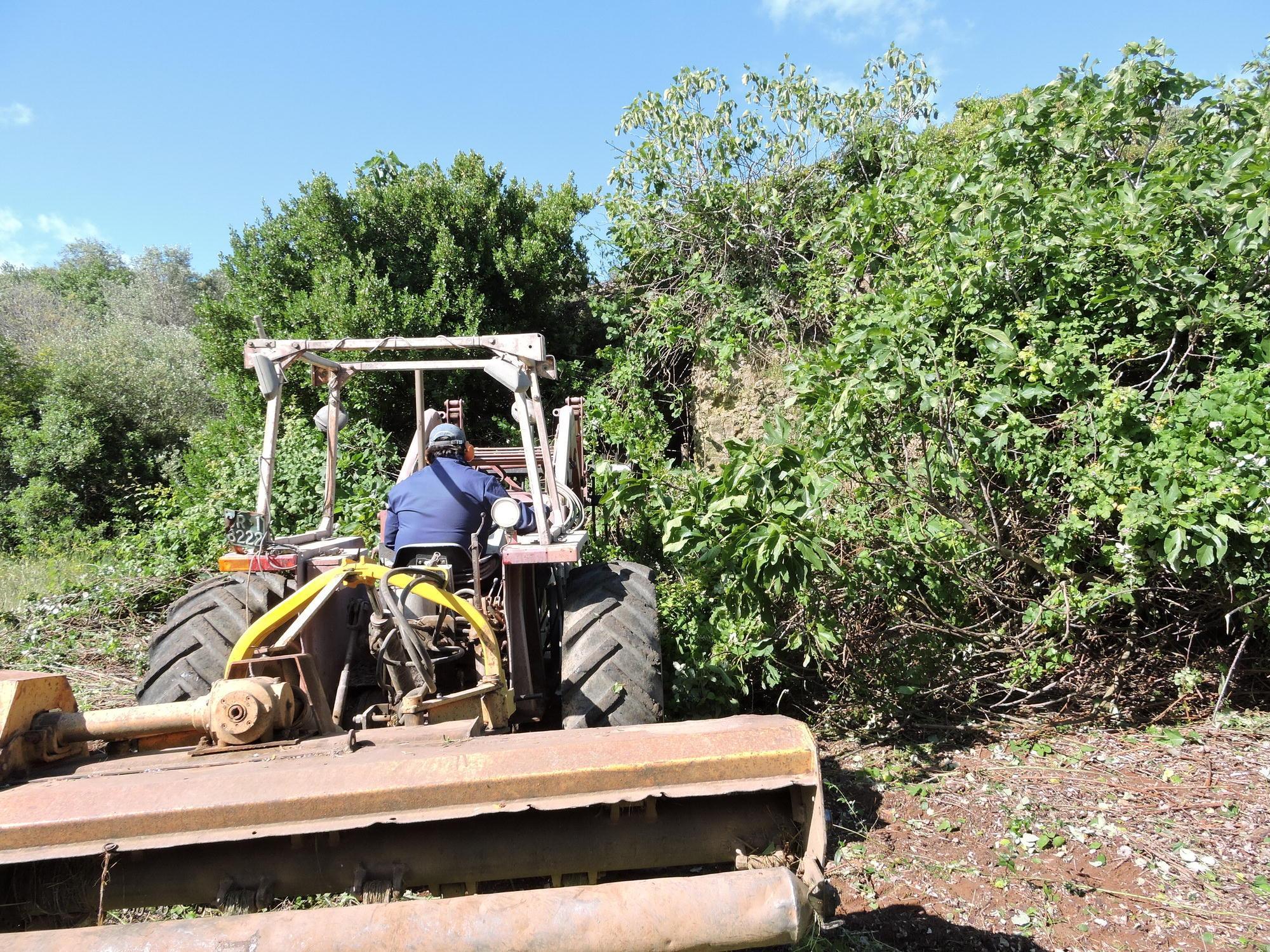 Volontari in azione per ripulire la cisterna di Talamone (foto Russo)