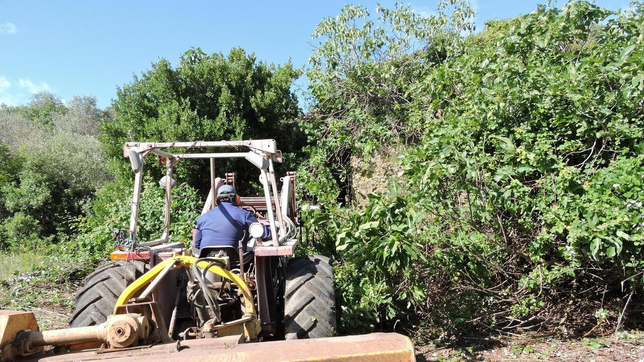 Volontari in azione per ripulire la cisterna di Talamone (foto Russo)