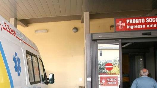 Cade da un olivo il padre del governatore Rossi