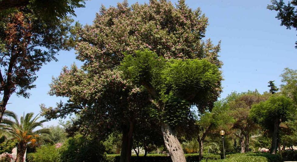 Verde, bandi annullati e tutto da rifare 