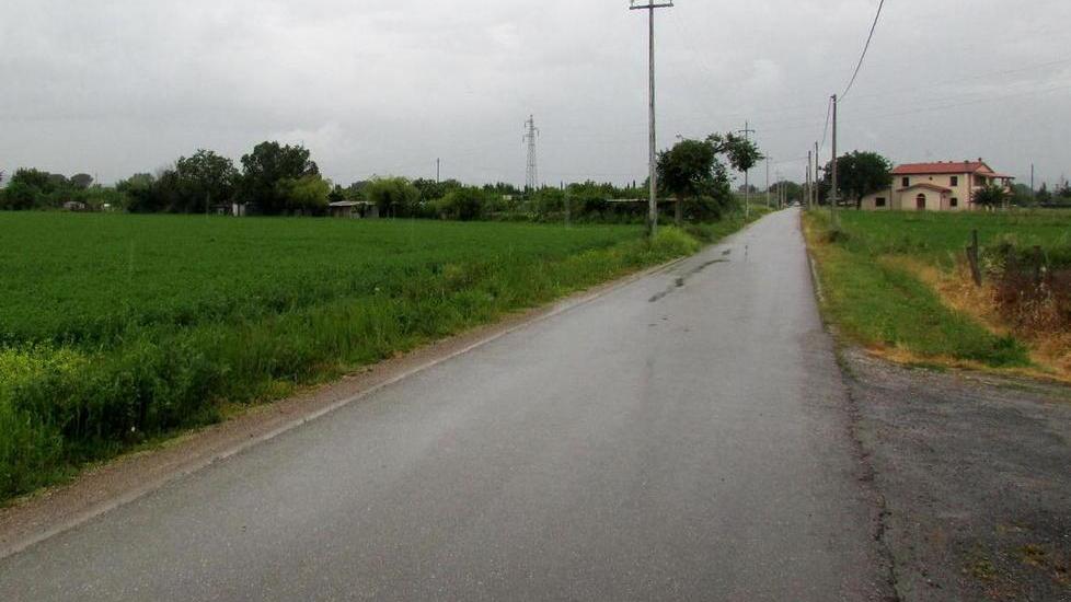 Fiamme nell’annesso agricolo Morte una trentina di galline
