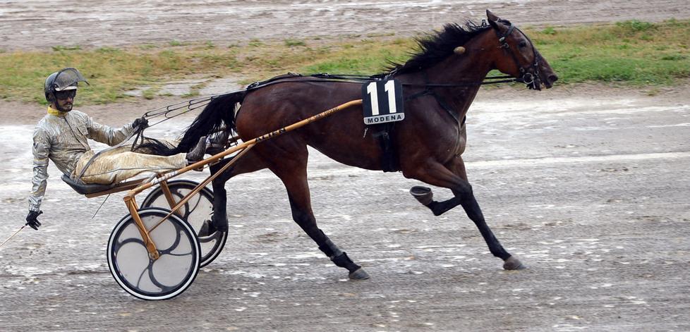 Royal Roc sorprende tutti nel Premio Gino Borelli 