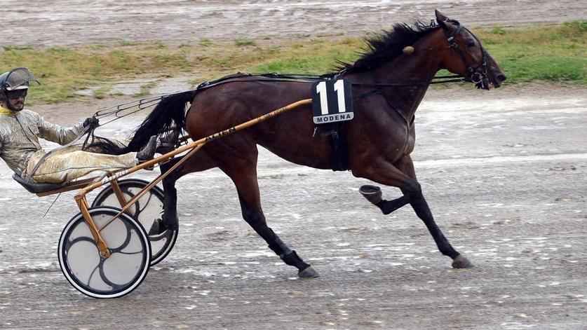 Royal Roc sorprende tutti nel Premio Gino Borelli