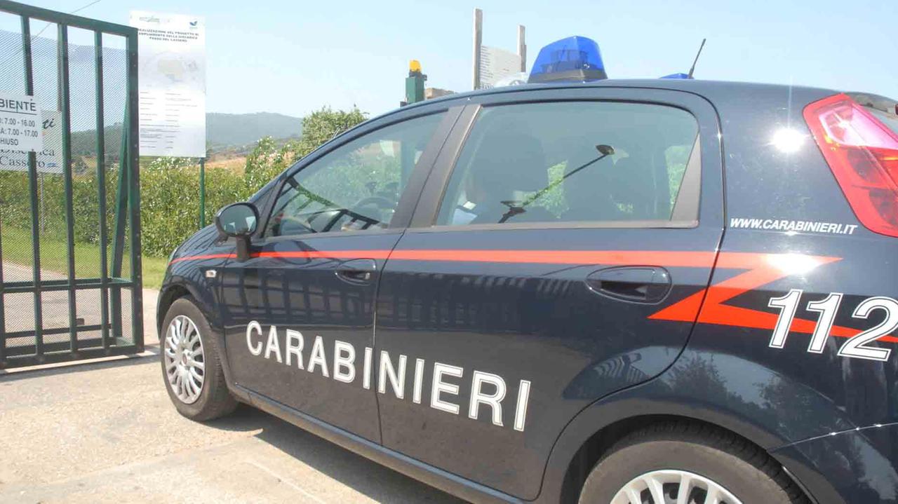 Un intervento dei carabinieri di Serravalle (foto Gori)