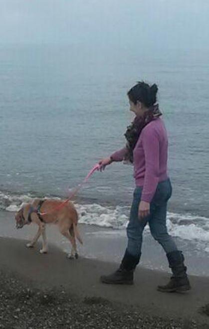 Lampo, il cane cieco trova una nuova amica 