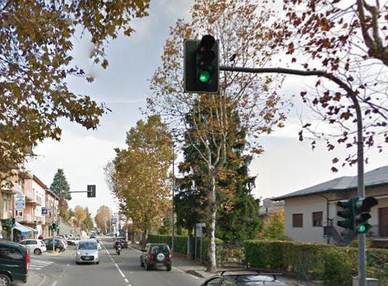 Saranno abbattuti tutti i platani lungo viale Bagnoli 