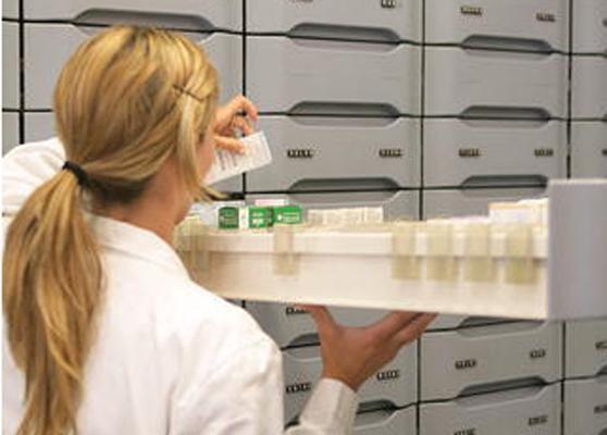 Nuove farmacie, ancora da assegnare le 2 sedi cascinesi 