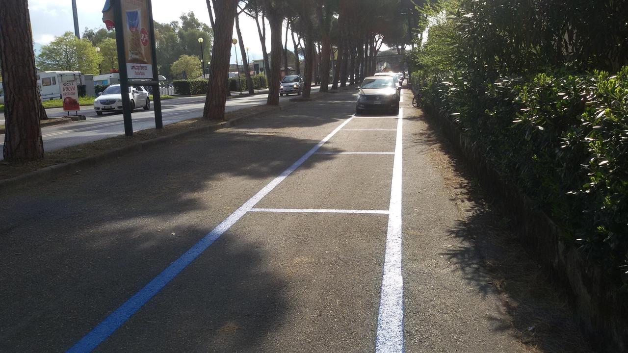 Strisce blu in via di Pratale
