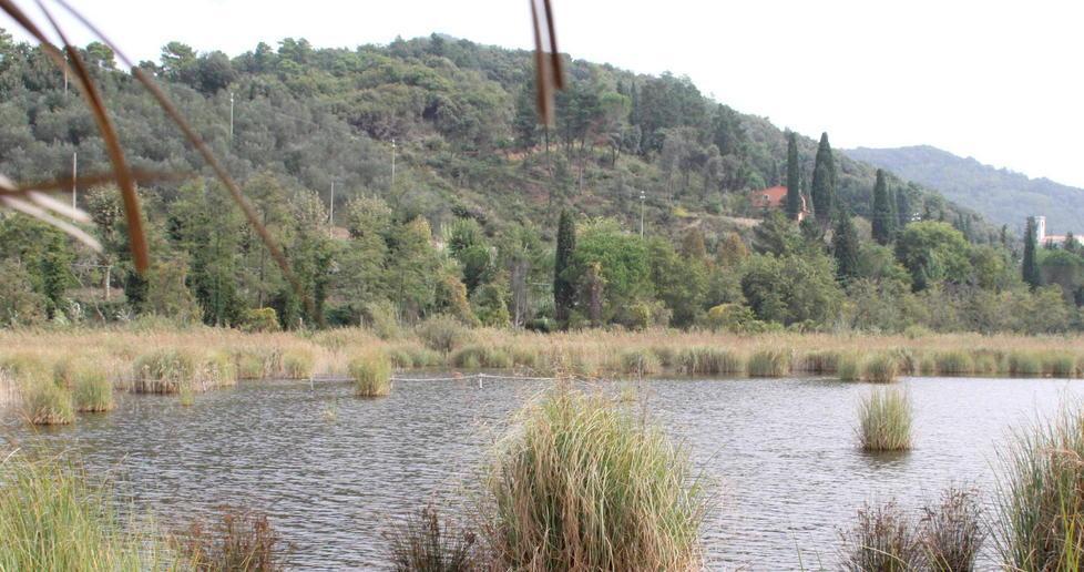 Il Parco coltiverà canapa nelle aree agricole 