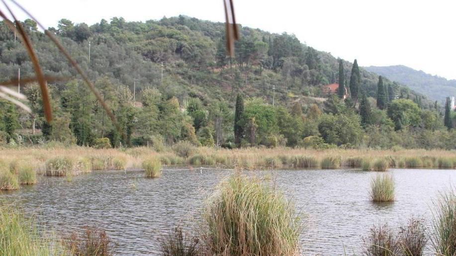 Il Parco coltiverà canapa nelle aree agricole