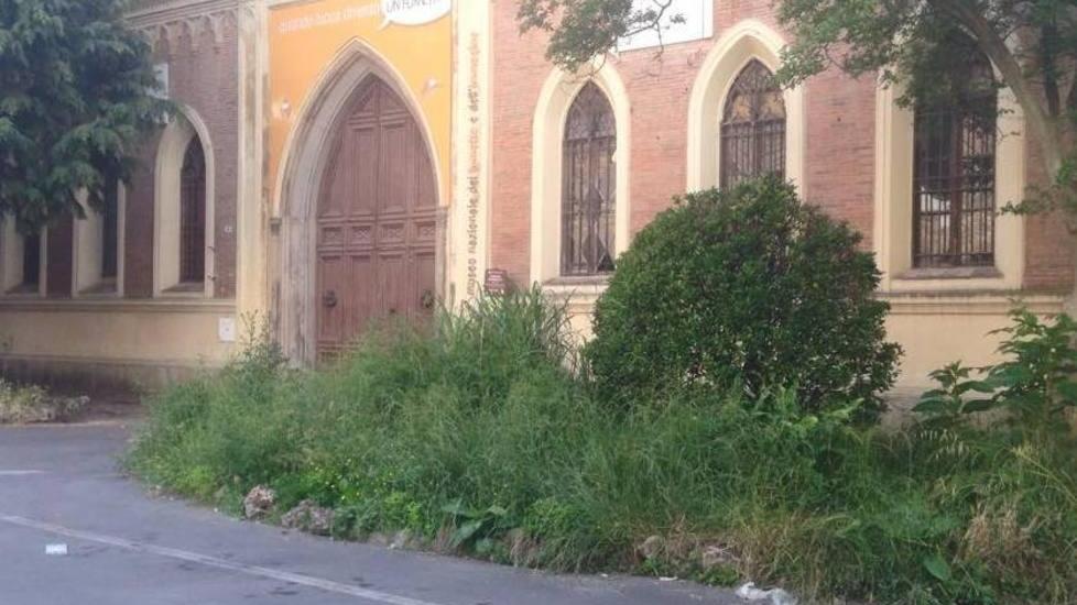Erba alta al Museo del Fumetto