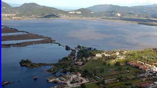 La canapa potrebbe tornare a crescere sulle rive del lago
