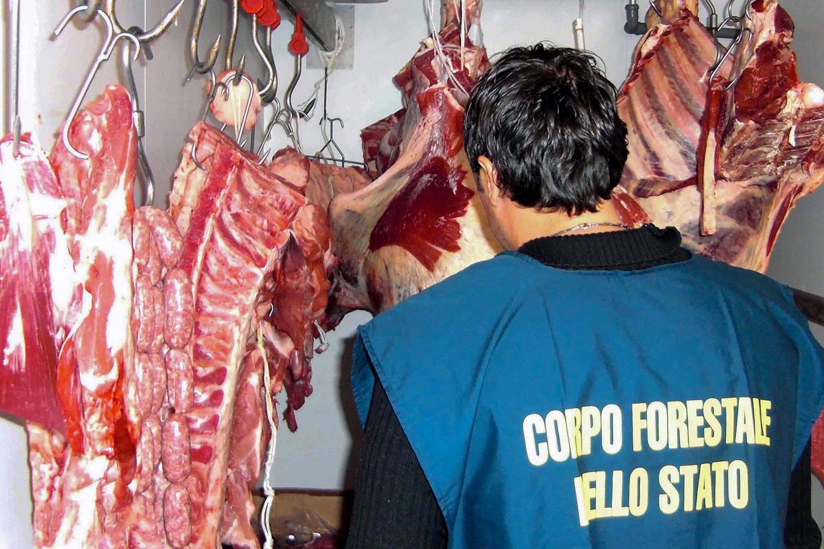 Carne bovina e la Forestale in azione 