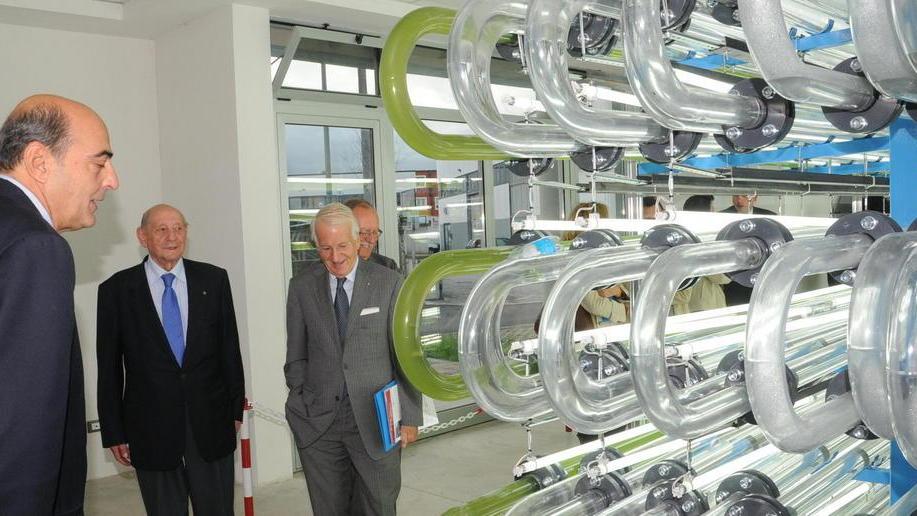 Fallisce una delle aziende delle centrali a biomasse