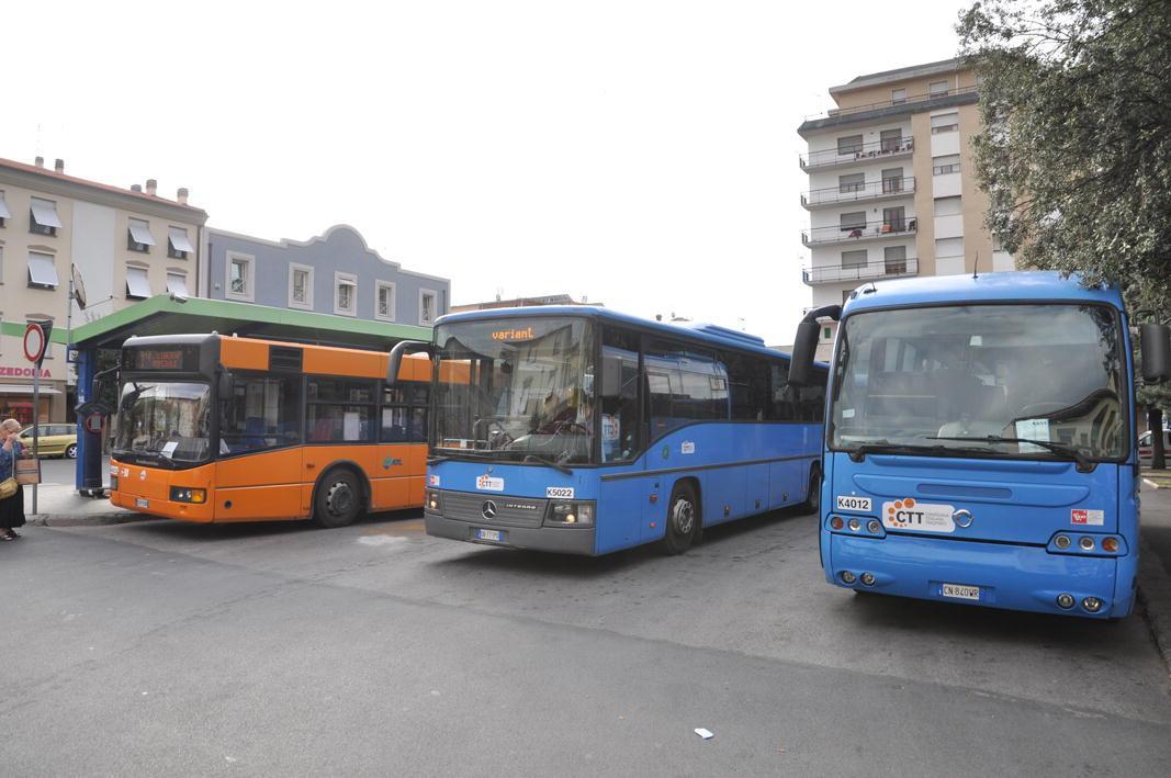 Alcuni bus del Ctt fermi nella pensilina di Cecina