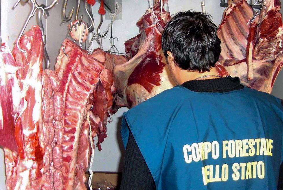 Carne senza la tracciatura, multe per diecimila euro 