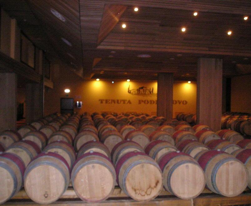 Il vino della Valdera si gusta con i cibi... rari 