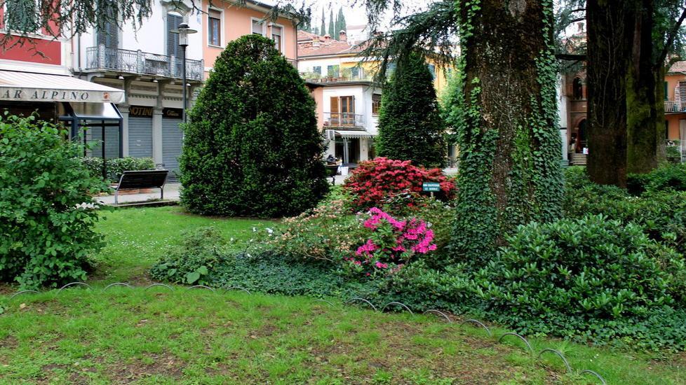 Via libera al progetto del giardino con più verde nell’area mercatale