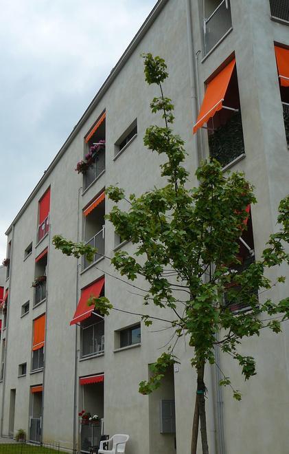 Il quartiere Compagnoni in festa 
