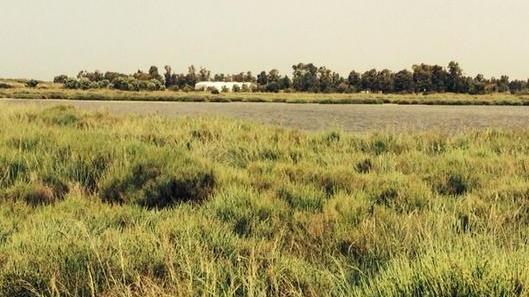 La vegetazione rinasce grazie al Circolo cacciatori