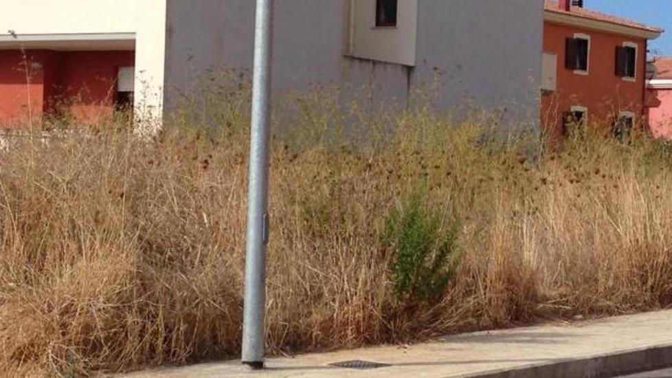 Terreni incolti, via ai controlli per stoppie e rifiuti
