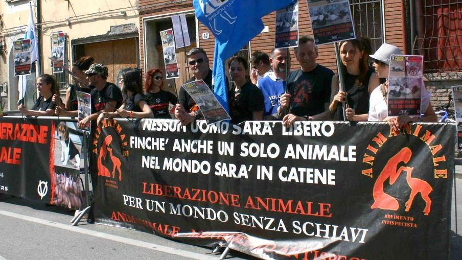 Tra gli animalisti vince la protesta ‘soft’