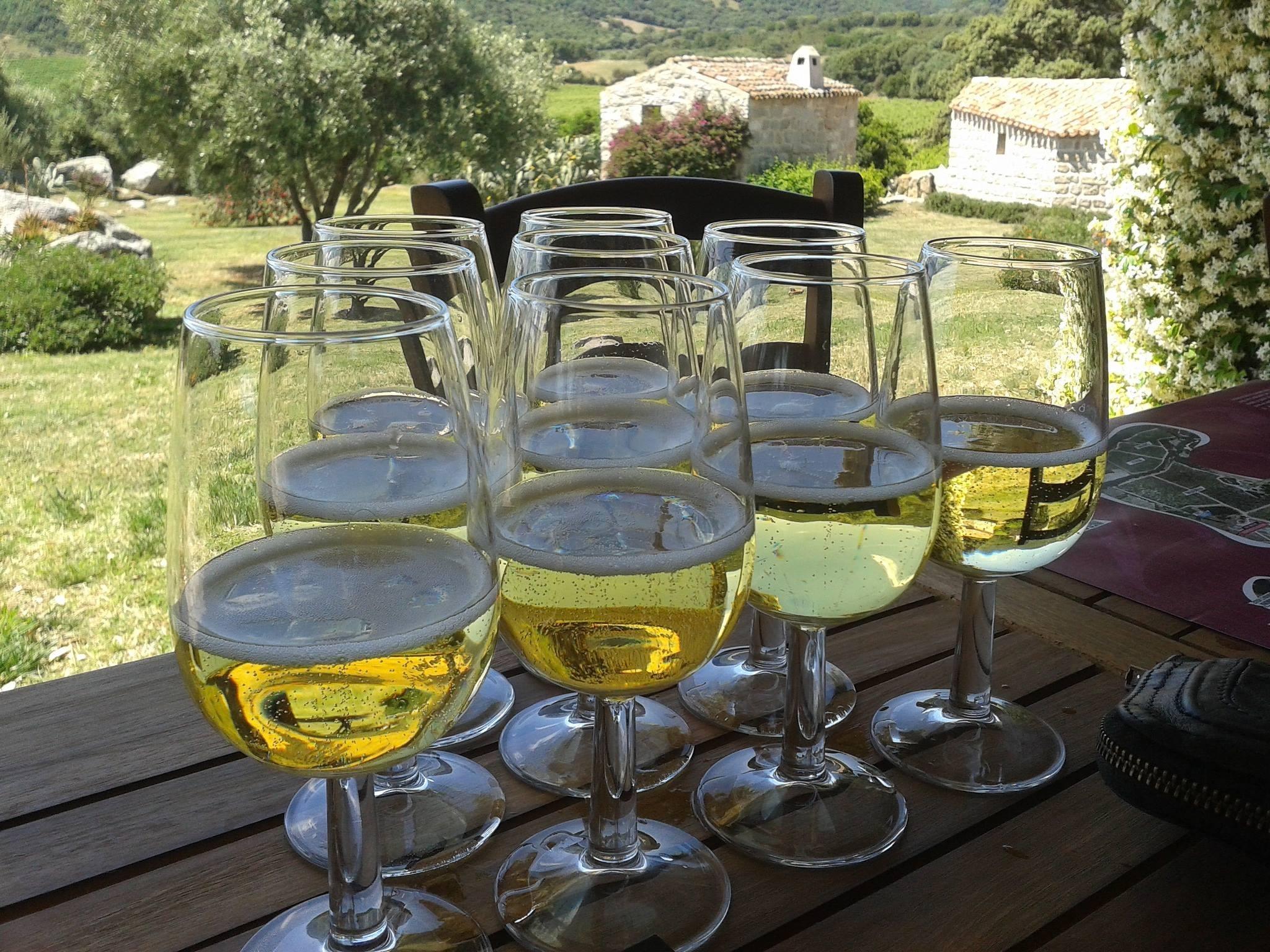 Comincia oggi la rassegna "Vigne aperte 2015" 