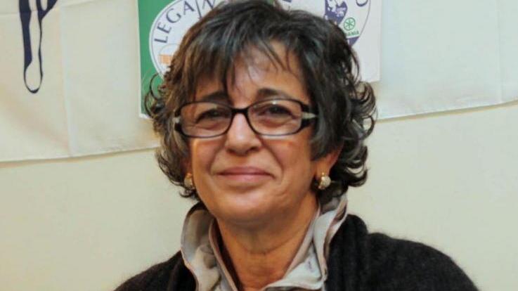 Forza Italia e Lega Nord Diversi e separati in casa