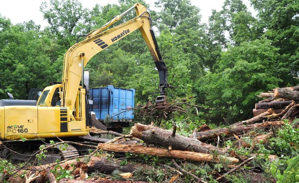 Niente stipendio, sciopero dei forestali 