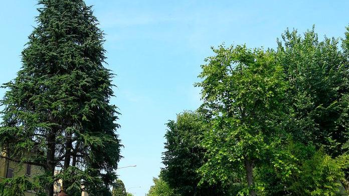 Fuga ad alto rischio Ricercati un rom e due albanesi