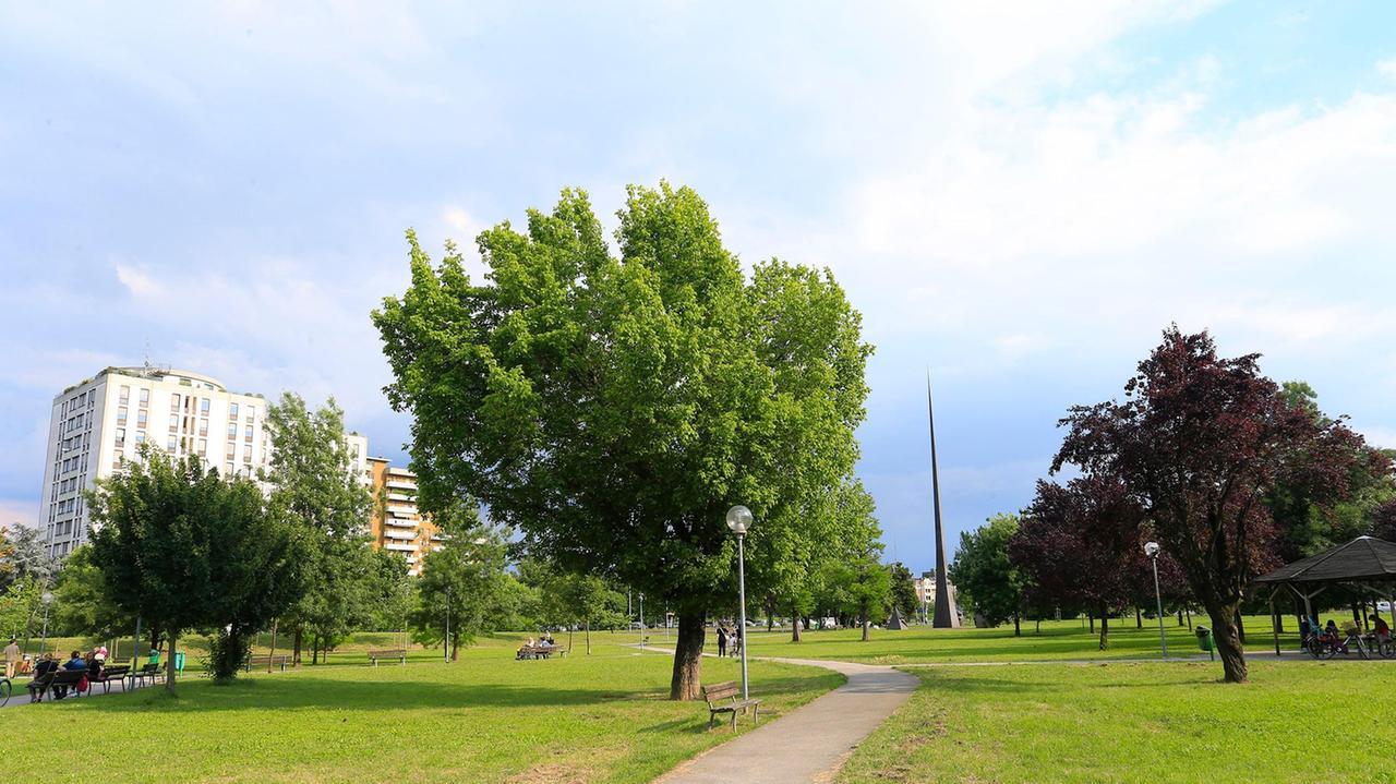 Londrina, una “palestra” in stile anglosassone