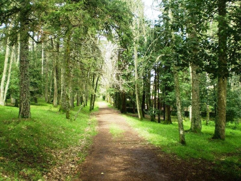 L'oasi di montes