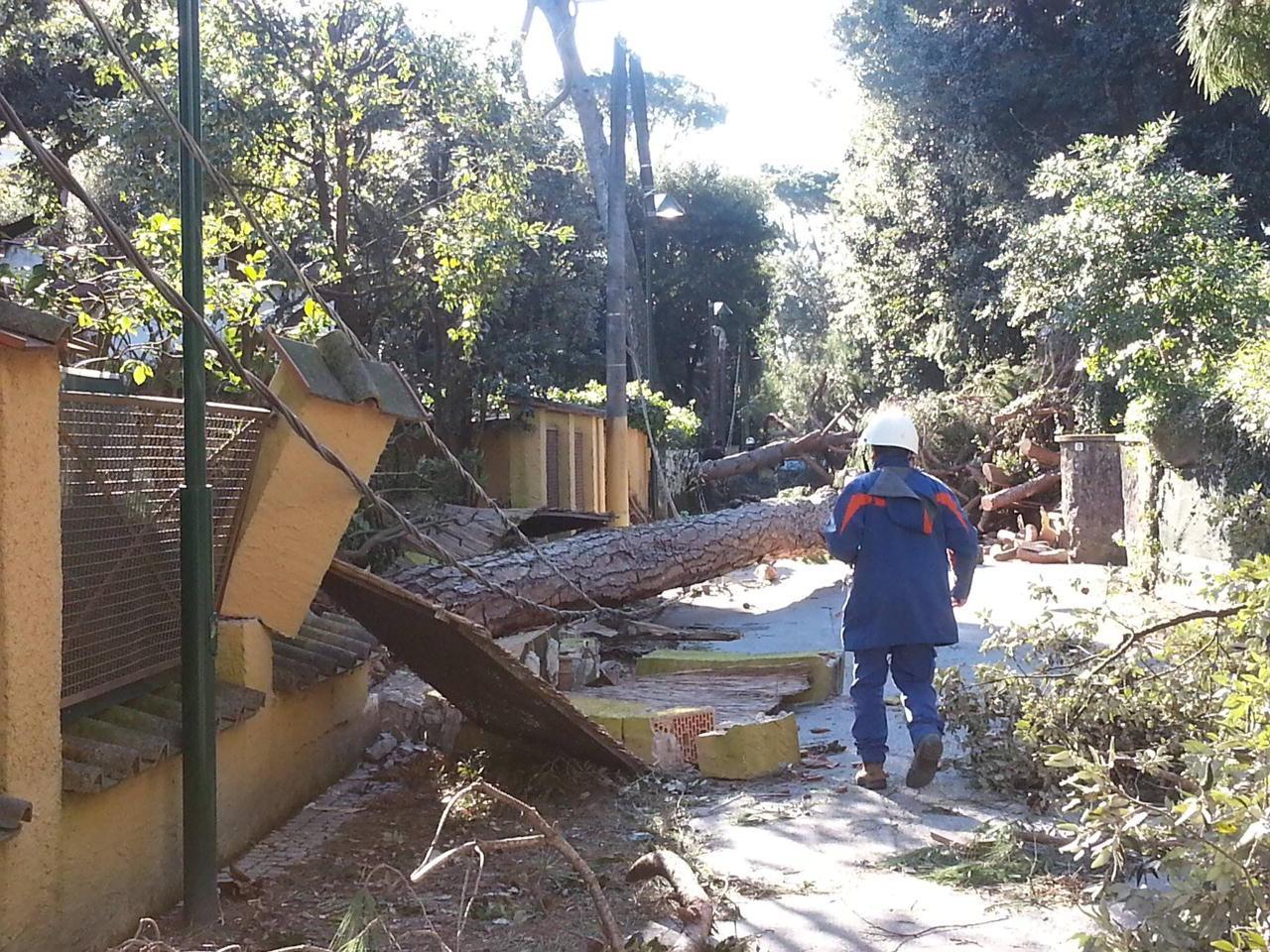 I tralicci Enel abbattuti dal vento a marzo