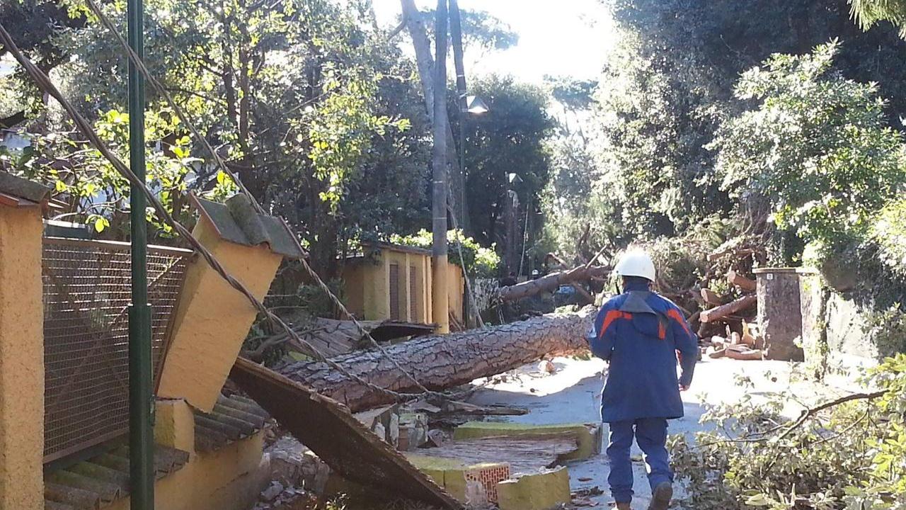 I tralicci Enel abbattuti dal vento a marzo