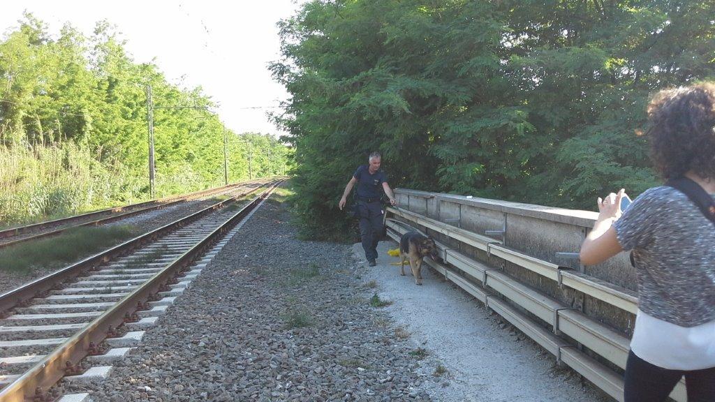 La droga nascosta nella canalina dei fili elettrici lungo la ferrovia