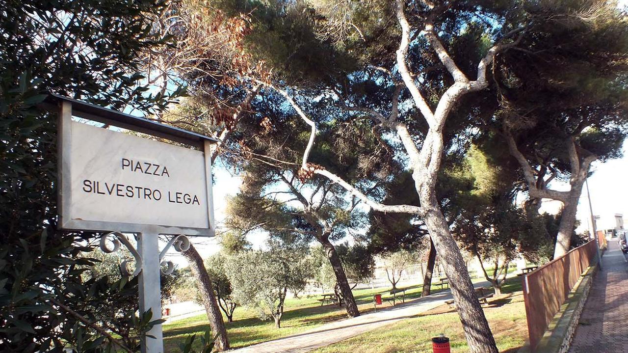 Il giardino di piazza Lega a Salivoli, per quest’area quartiere e volontari hanno già molte idee (foto PaBar)