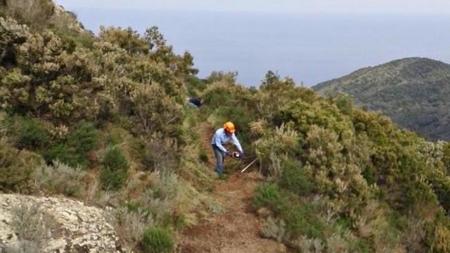 Un piano da 125000 euro per sistemare i sentieri
