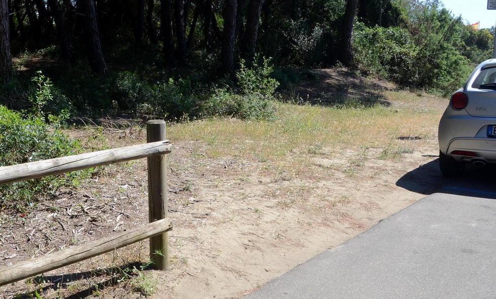Parcheggio selvaggio, allarme pinete 