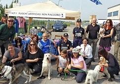 L’Oipa illustra il regolamento per la tutela degli animali 