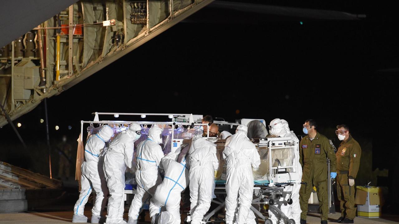 Ebola, cani in quarantena a Sassari: caso internazionale 