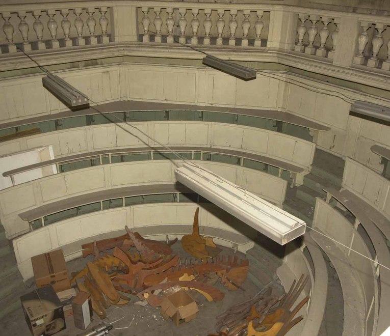Teatro anatomico dell'università, un tesoro che cade a pezzi
