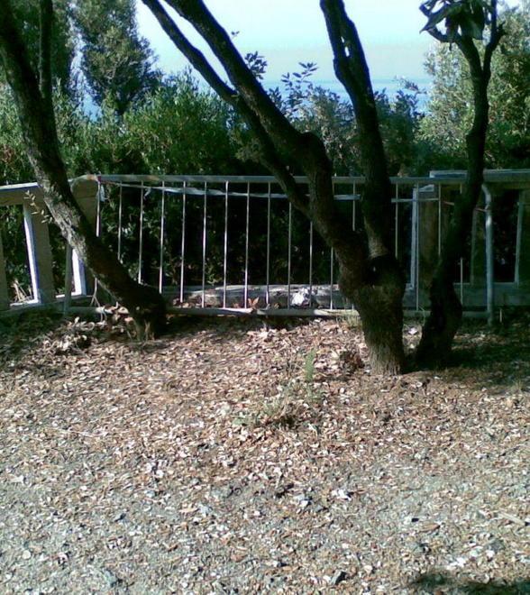 Pineta, balaustra distrutta e panchine fatte a pezzi 