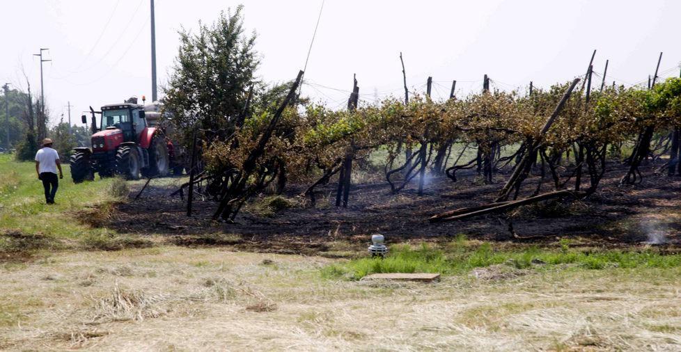 Rogo a Prato, va a fuoco una vigna 