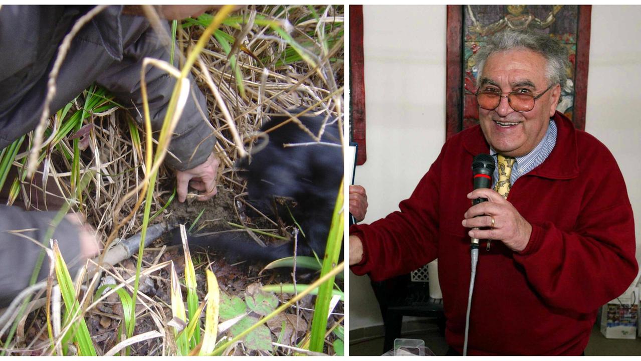 Un cane in cerca di tartufi e Athos Signorini